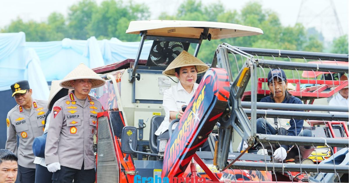 Kapolri-Ketua Komisi IV Pimpin Panen Raya Jagung Serentak, Wujud Nyata Dukung Ketahanan Pangan Nasional