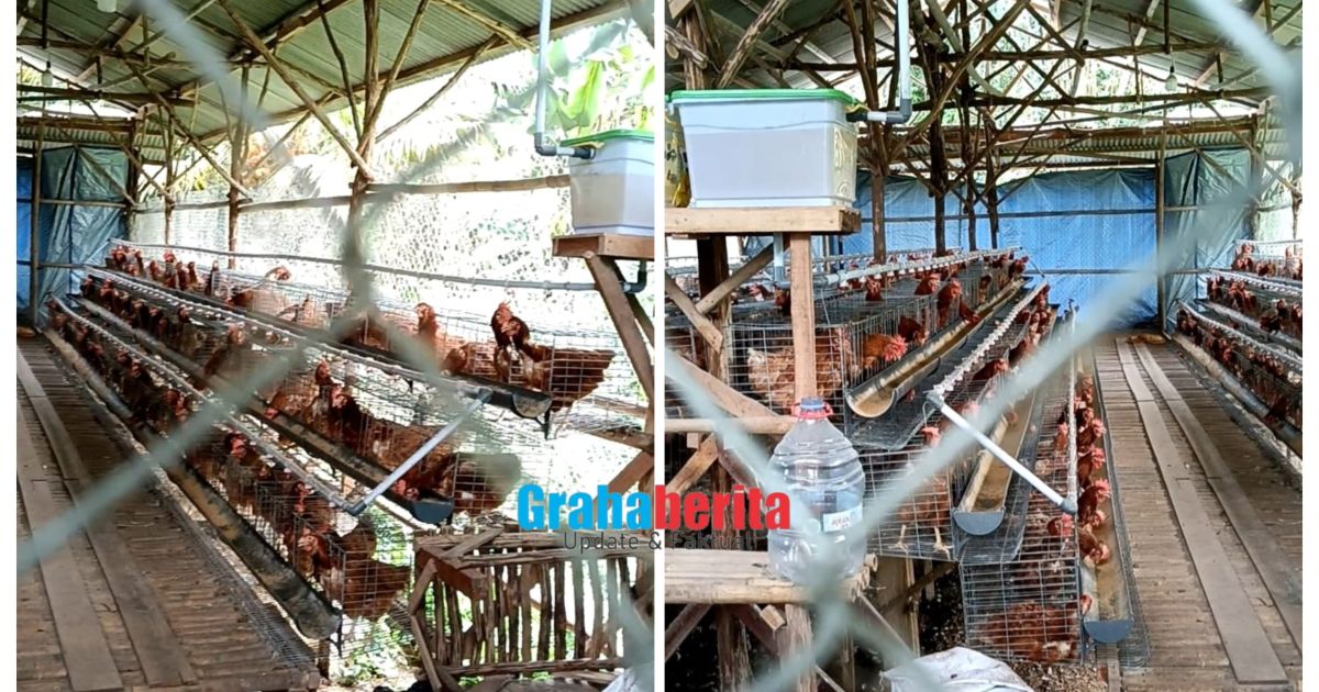 Dana Desa Tahun 2025, Desa Tonjong Disinyalir ada Program fiktif Terindikasi Penyelewengan Anggaran